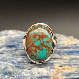 Sonoran Turquoise Sterling Silver Ring - Oxidized Double Band, Size 9