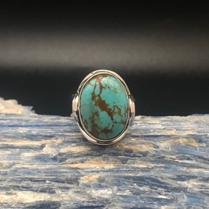 Sonoran Desert Turquoise Ring: Sterling Silver Double Band, Size 9
