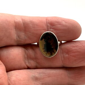 Pu&ograve; includere: Un anello d'argento con una pietra ovale in agata dendritica marrone e nera.