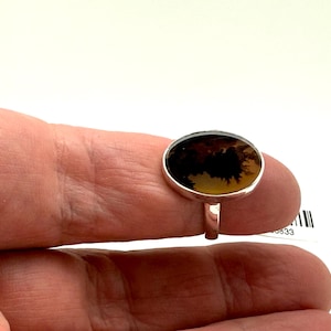 Pu&ograve; includere: Un anello d'argento con una pietra di agata dendritica marrone e nera. La pietra &egrave; di forma ovale e presenta un motivo naturale e organico.