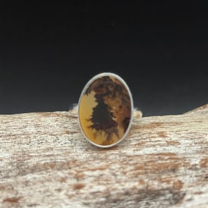 Pu&ograve; includere: Un anello d'argento con una pietra di agata ovale di colore marrone e bianco.