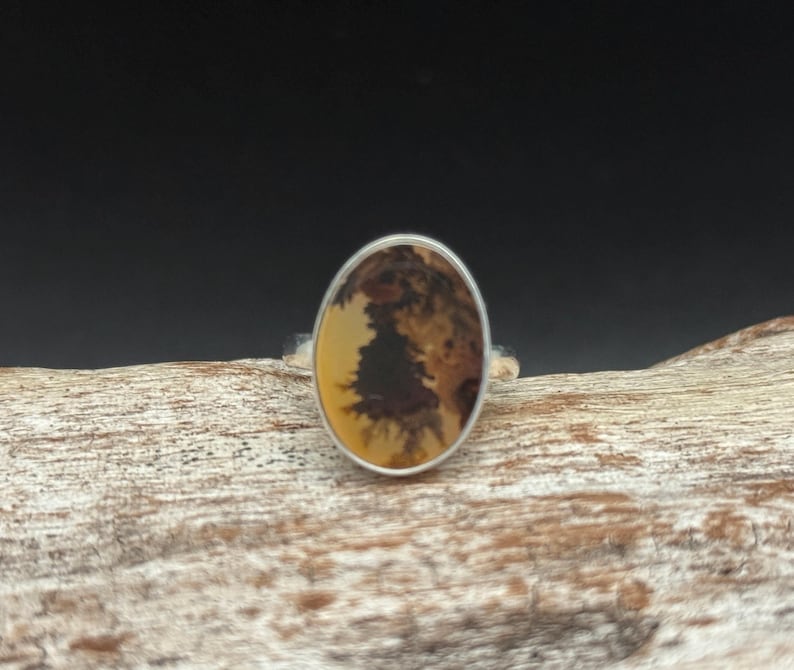 Pu&ograve; includere: Un anello d'argento con una pietra di agata ovale di colore marrone e bianco.