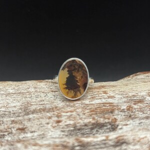 Pu&ograve; includere: Un anello d'argento con una pietra di agata ovale di colore marrone e bianco incastonata al centro.