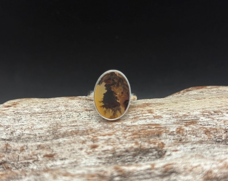 Pu&ograve; includere: Un anello d'argento con una pietra di agata ovale di colore marrone e bianco incastonata al centro.
