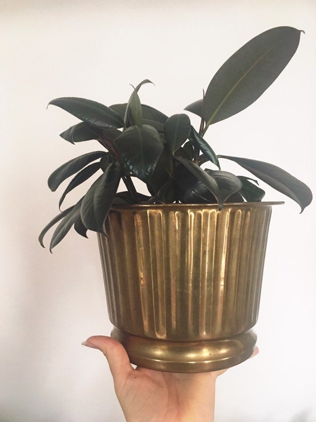 Mid Century Modern Brass Planter / Vintage Solid Brass Indoor Plant