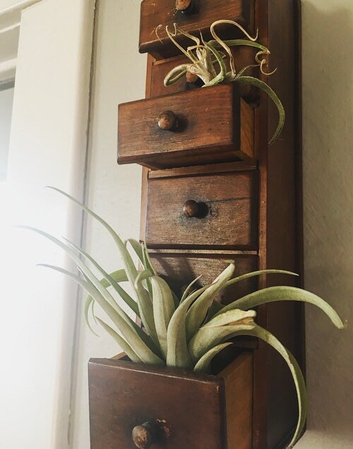 Vertical Wooden Spice Rack With 6 Drawers Vintage Wooden Shelf