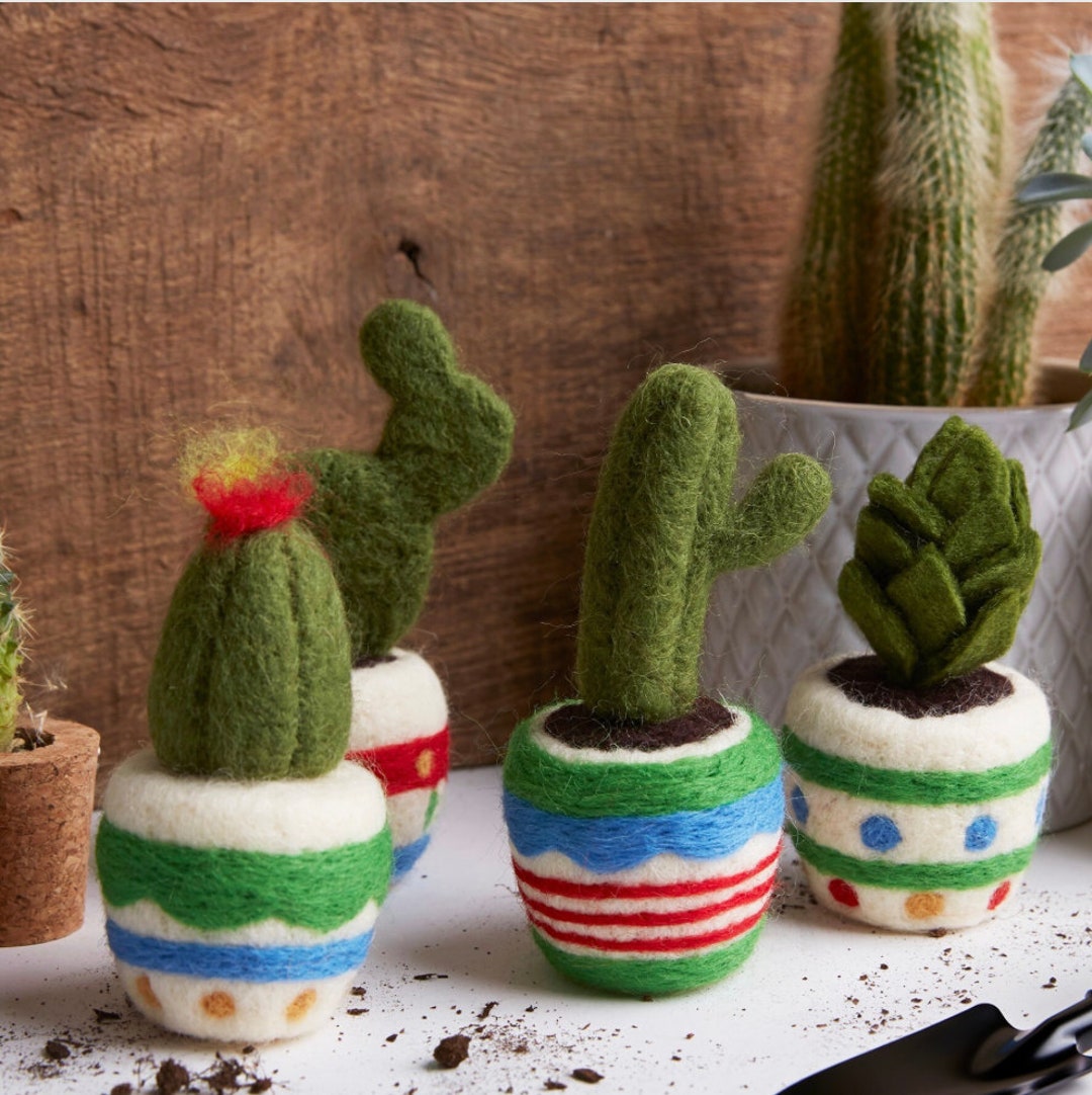 Make Your Own DIY Cactus House Plant Cacti Four Makes Needle Felting ...