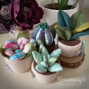 Cojín para alfileres con plantas de interior en maceta de HobbyGift Cactus, planta de interior, rosa o suculenta para elegir