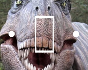 Dinosaur T Rex UK Light Switch Vinyl Sticker Skin nursery bedroom Ls30 Dinosaur T Rex UK Light Switch Vinyl Sticker Skin nursery bedroom Ls30