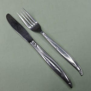 Puede incluir: Un juego de cuchillo y tenedor de acero inoxidable. El cuchillo tiene una punta redondeada y un mango decorativo con un diseño floral. El tenedor tiene cuatro púas y un mango a juego. Ambas piezas tienen un patrón de estrella.
