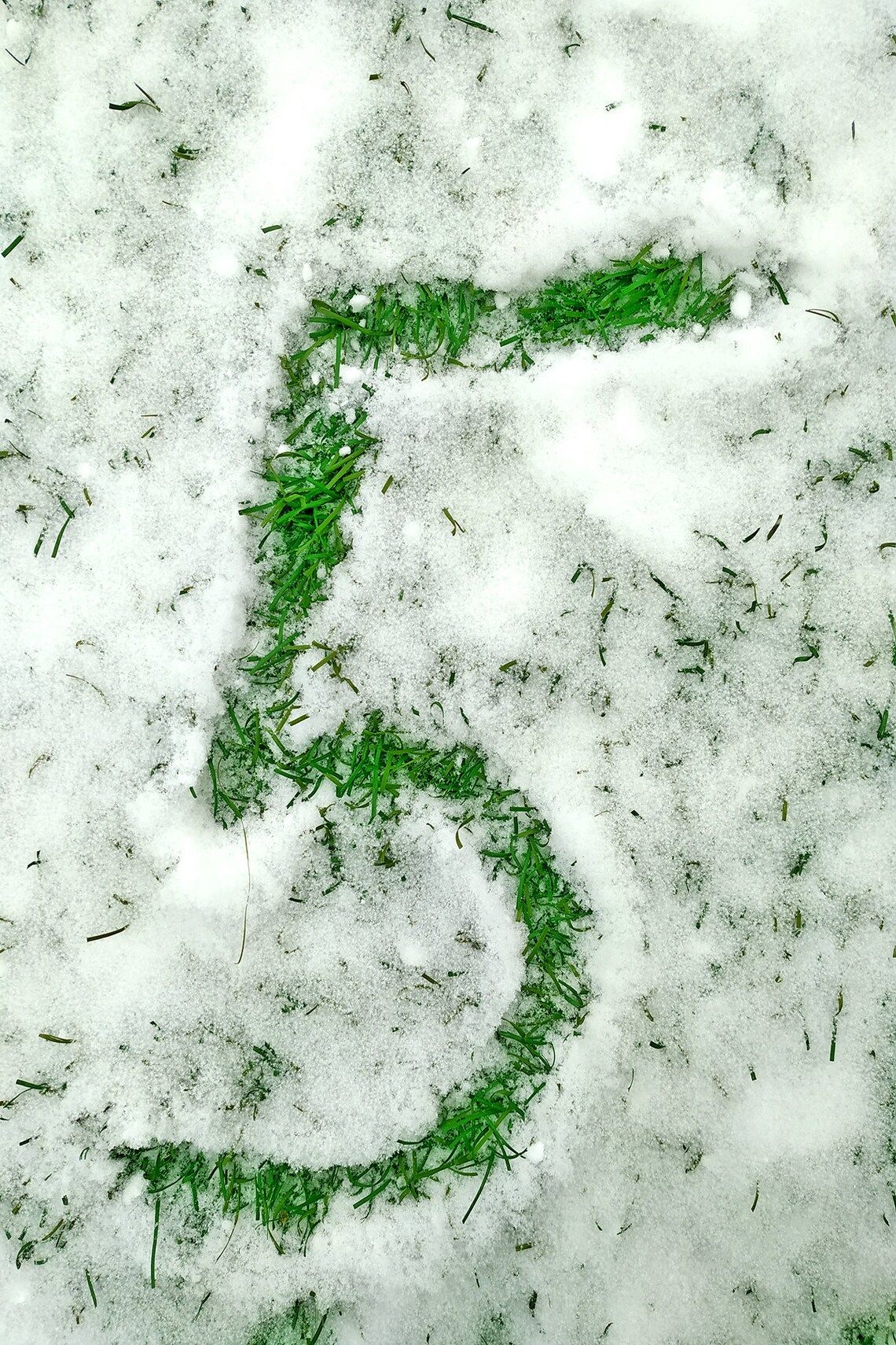 Nature numbers 09 Digital download figures Farmhouse Etsy