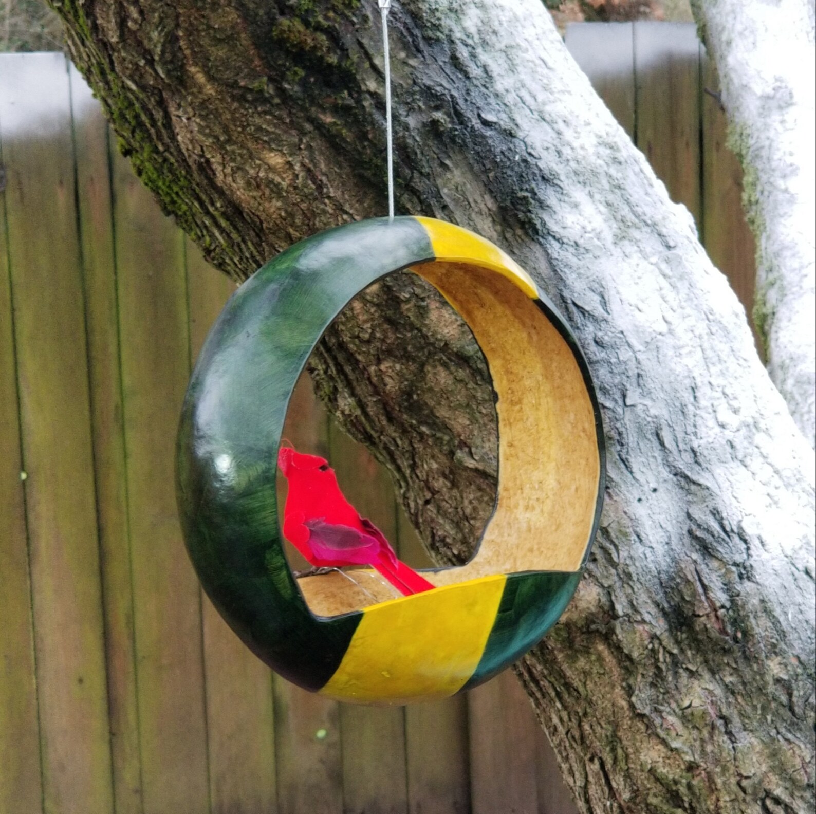 Canteen Gourd Green and Yellow Etsy