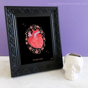 May include: A framed print with a black background featuring a red anatomical heart surrounded by pink and gold floral details. The text "The Fracile Heart" is printed below the image.