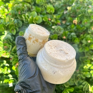 Whipped Brown Sugar, honey and Oatmeal Scrub, Oatmeal scrub, Shea Butter whipped sugar scrub, Mango butter sugar scrub, Brown Sugar Scrub