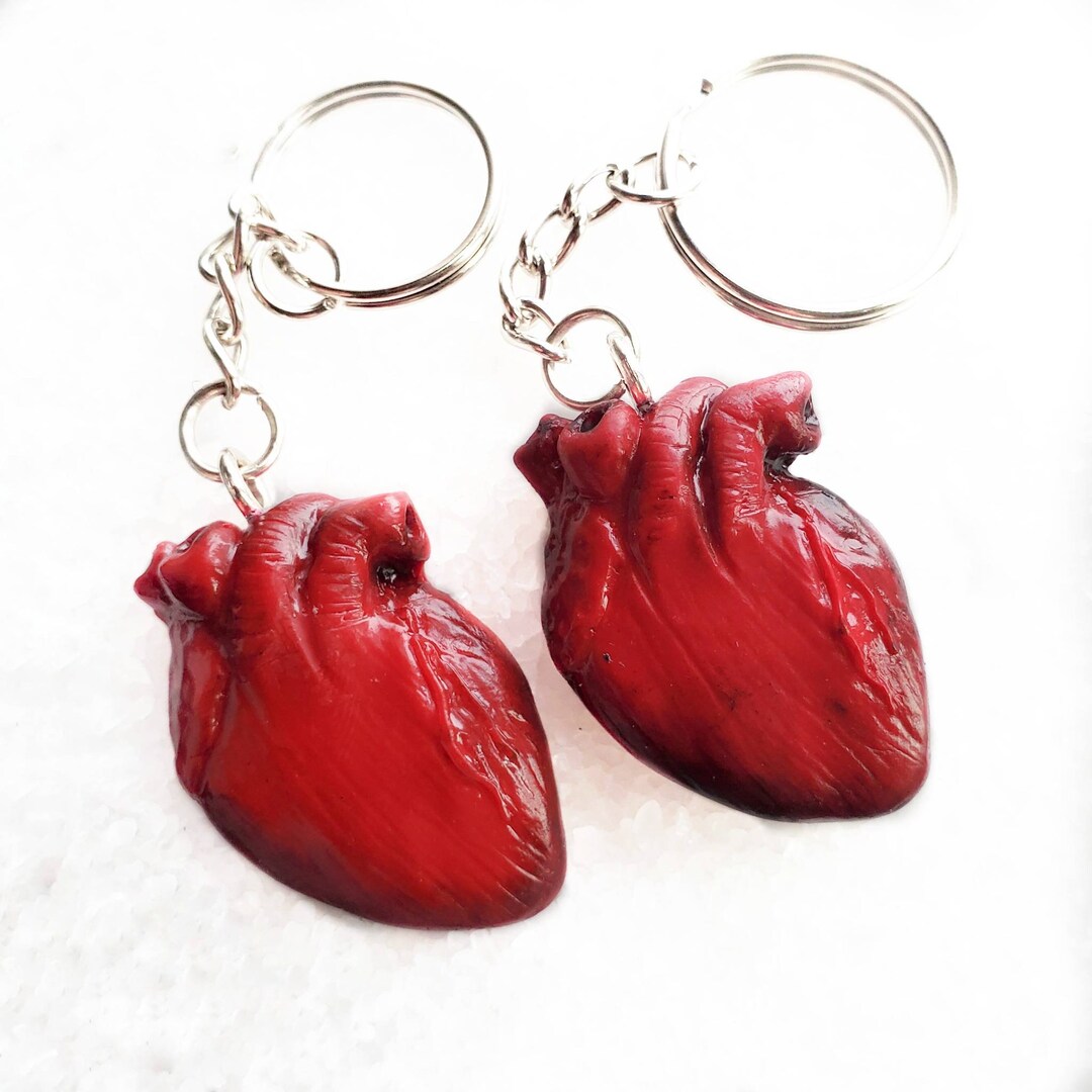 Anatomical Heart Cardiac Keychain Etsy