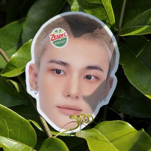 Hyunjin Kiwifruit Sticker – Funny Fruit Label Die-Cut Vinyl Sticker