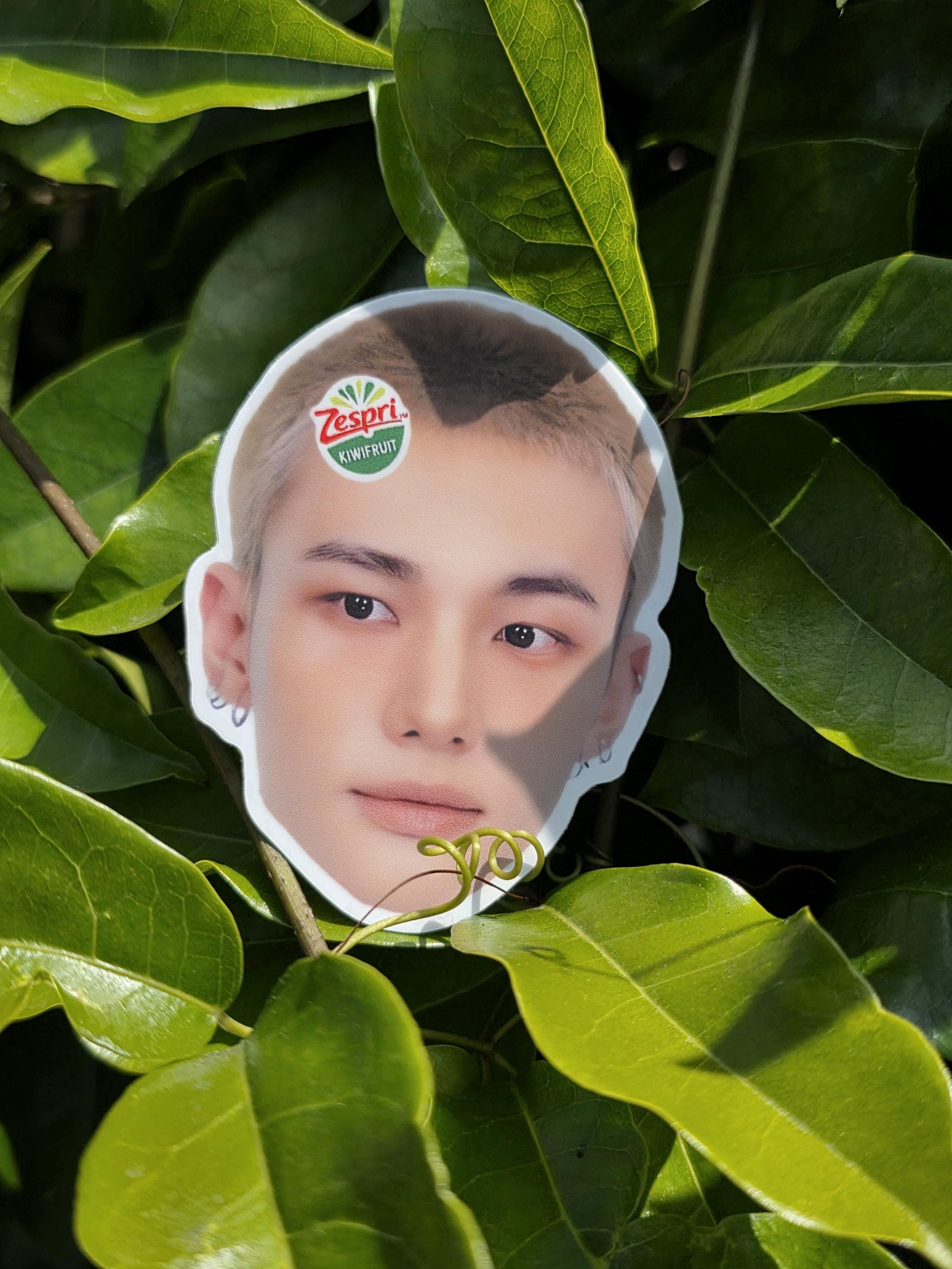 Hyunjin Stickers - Etsy