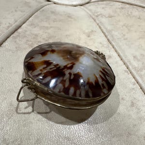 May include: A polished, oval-shaped seashell box featuring a glossy, mottled brown and white pattern. The shell is encased in a thin, metallic gold-toned frame with a small, hinged metal loop attached to the side for opening or hanging purposes.