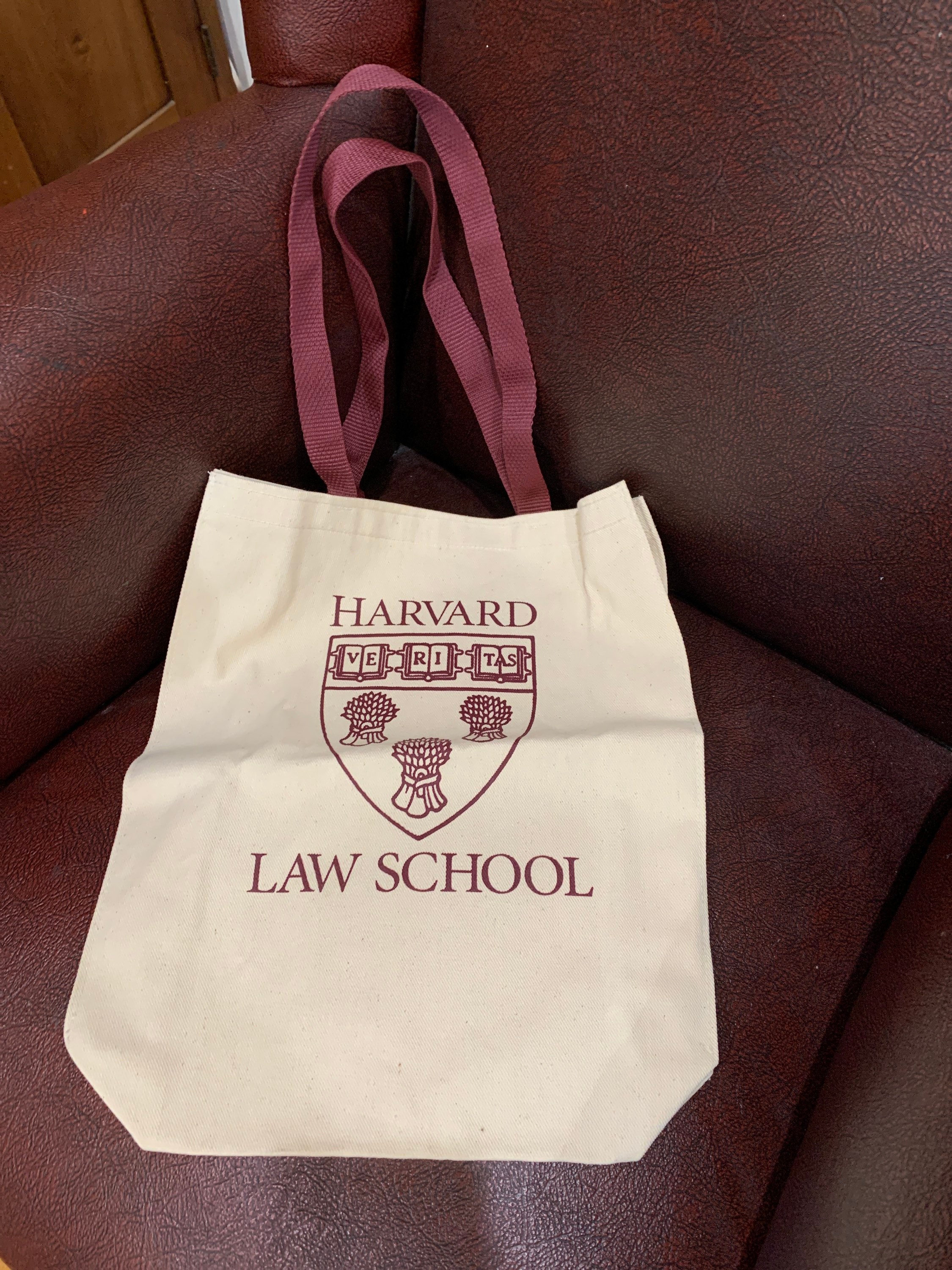 90s Harvard Law School Bag Tote Shopping Fabric Cloth 12 1/2
