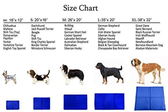 St Bernard Puppy Growth Chart