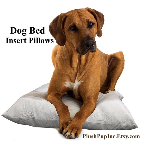 dog bed insert