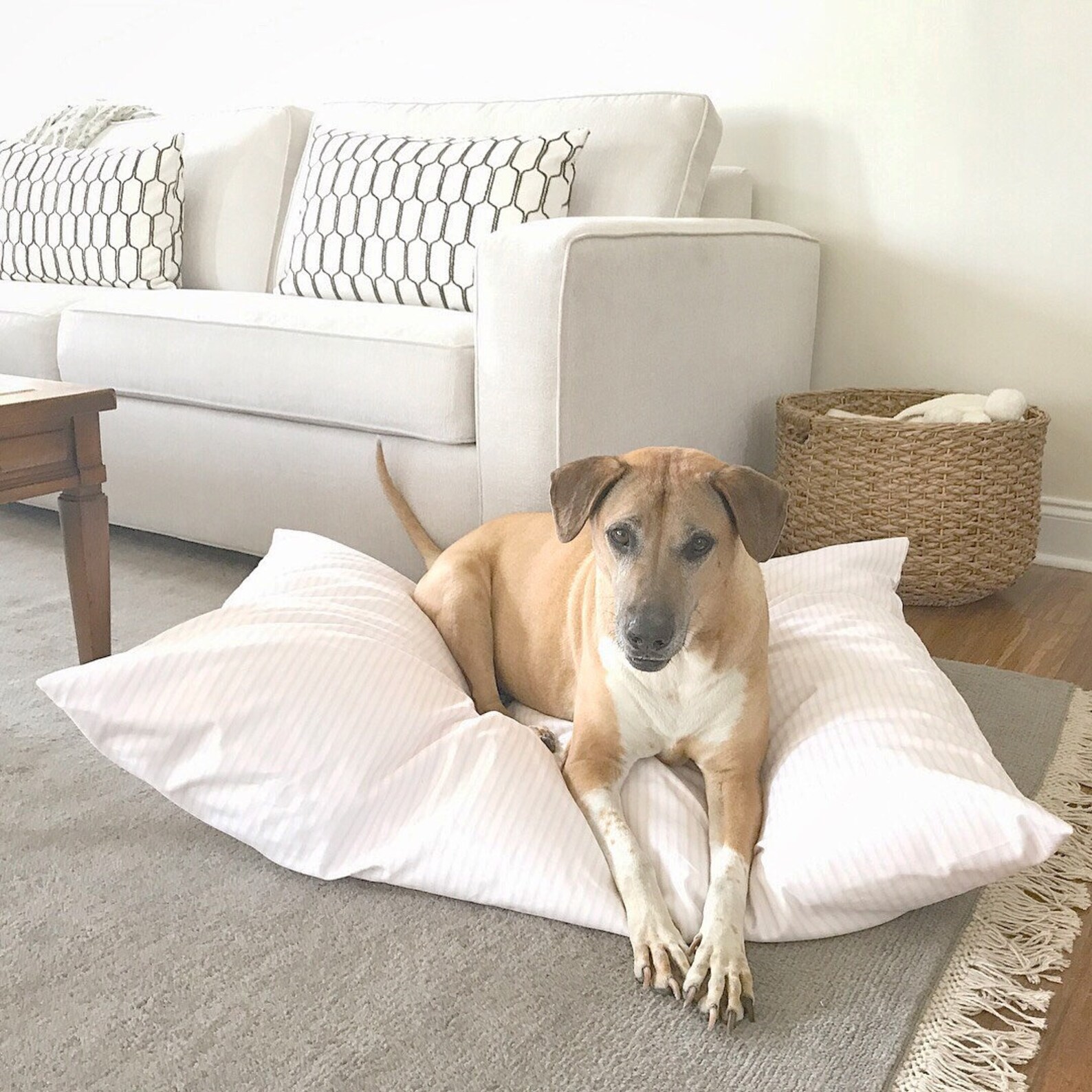 Stripe Dog Bed Cover Dog Bed Pillow Cover Durable Dog Bed Etsy