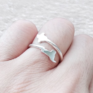 Arkansas and Illinois Ring,Two States Ring,Personalized Any States Ring,Best Friend Ring,Double State Ring,Country Rings Silver