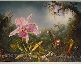 riproduzione di qualità museale dipinta a mano di martin johnson heade Cattleya Orchid e tre colibrì per la decorazione della casa, arte murale o regalo