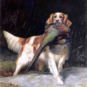 Alexander Pope Perro mascota pintado a mano con pintura al óleo de pájaro Reproducción para regalo o decoración del hogar