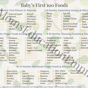 Baby&#39;s First 100 Foods Checklist