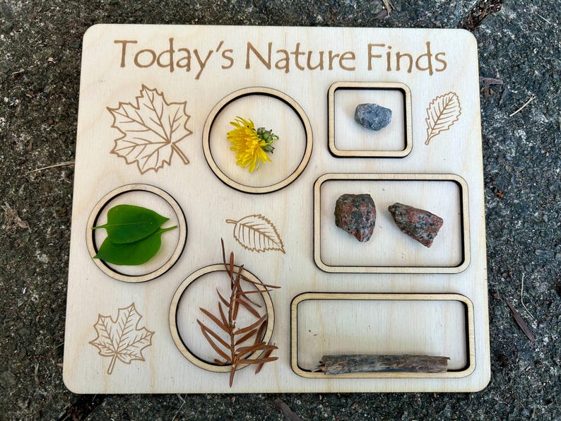 Nature Finds Board Laser File, Outdoor Education SVG DXF - Etsy