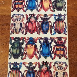 The Gifted Line John Grossman Vintage Sticker Sheet ~ Assorted Insects/Beetles.    HTF(1995)
