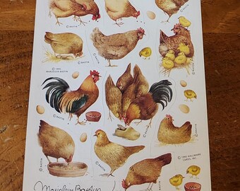 Hallmark Cards Vintage Sticker Sheet ~ by Marjolein Bastin ........Chickens, Roosters and chicks.   RHTF