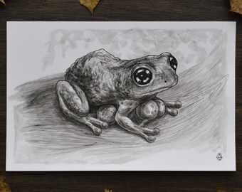 Original ink drawing - Inktober Frog