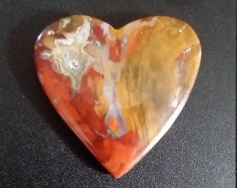 Petrified Wood