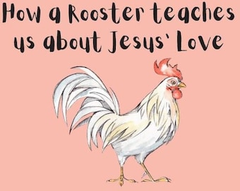 Wie ein Hahn uns über die Liebe von Jesus lehrt Jahr Runde druckbare Sonntagsschule oder Kinderkirche Bibellektion Mark 14 Digitaler Download