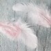 Powder Pink Feathers Wedding Decor Bohemian Feathers Natural Feathers Boho Feather Baby Shower Decor Baby Girl Room Decor Pink Wedding Decor