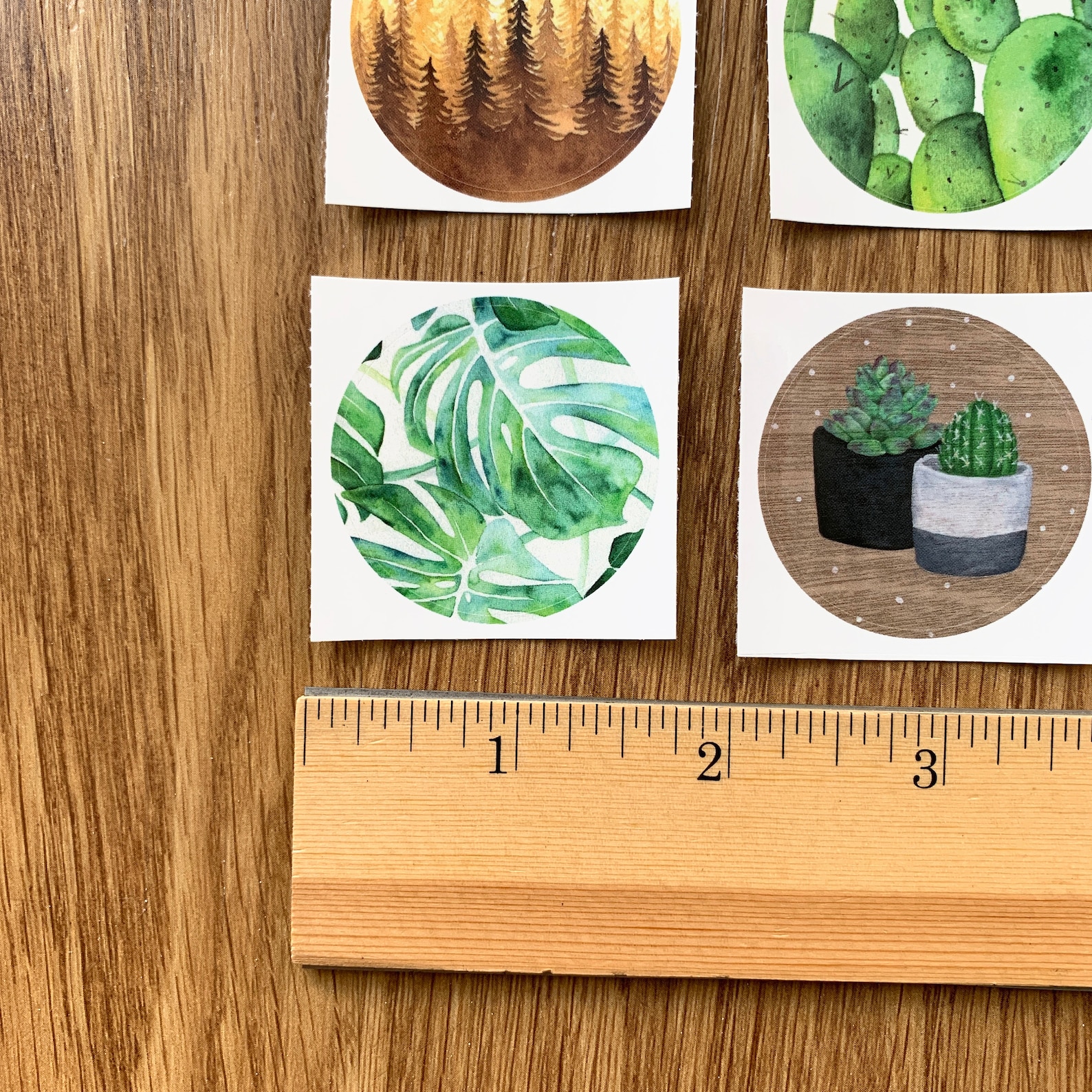 Pegatinas de la naturaleza pegatinas Grab Bag Sticker Set Etsy