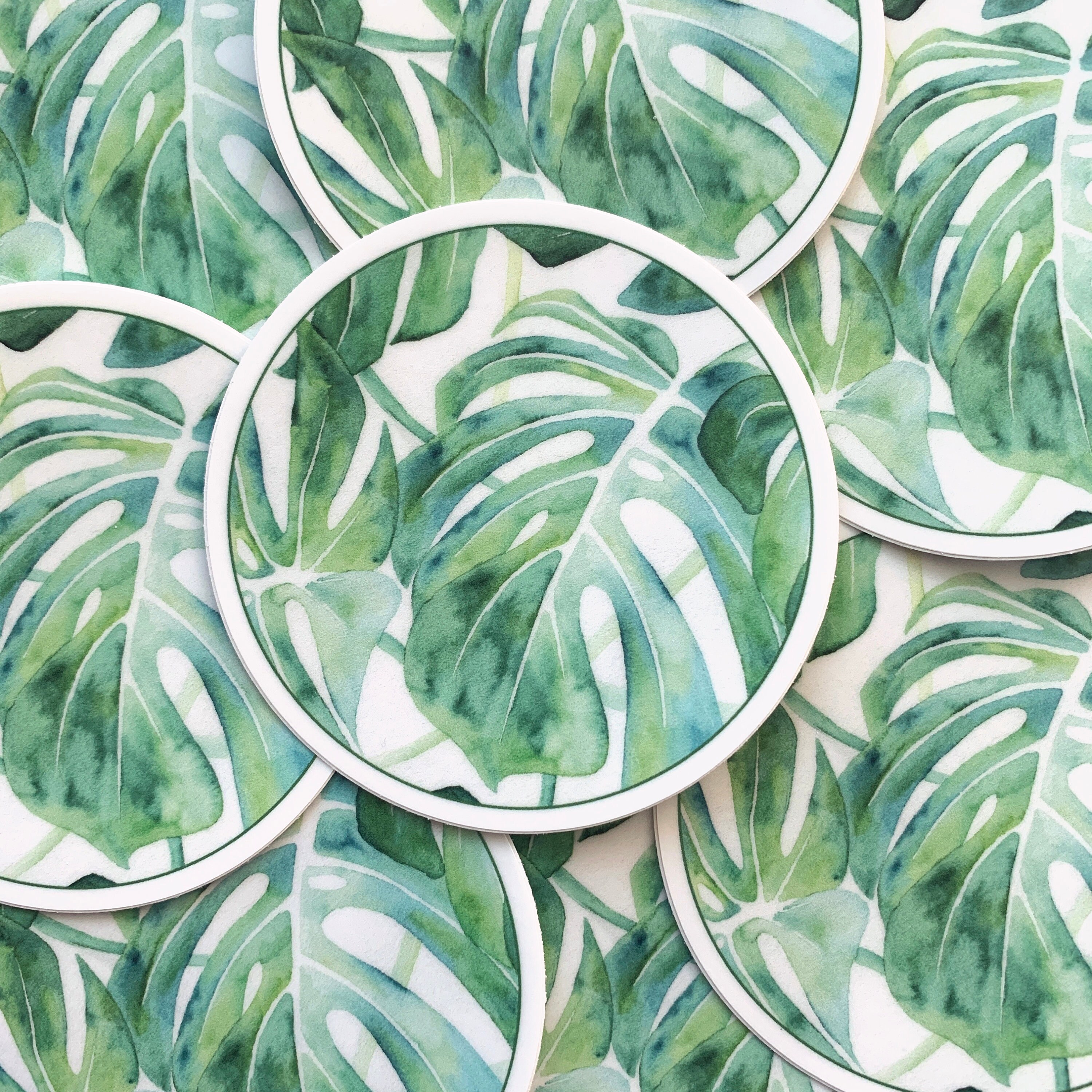 Monstera Sticker Monstera Nature Sticker Vinyl Sticker | Etsy