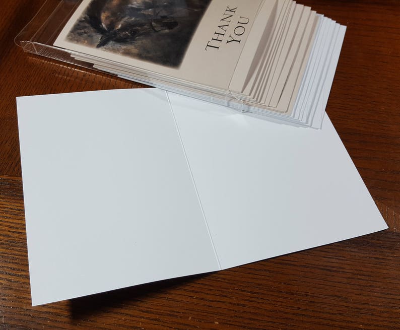 Horse Thank You Cards by Celeste Susany