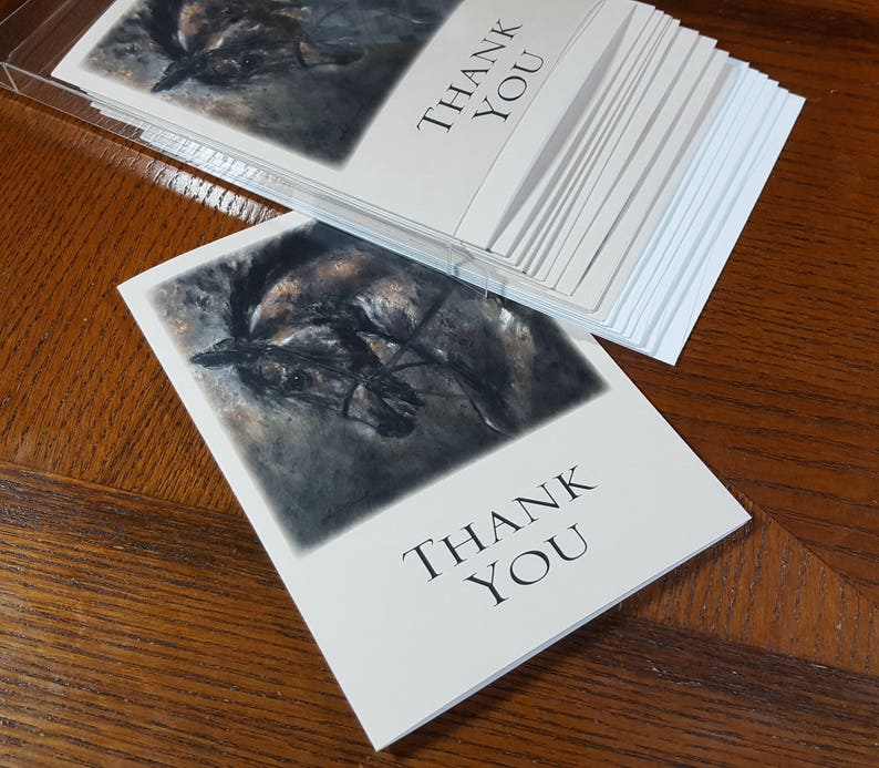 Horse Thank You Cards by Celeste Susany