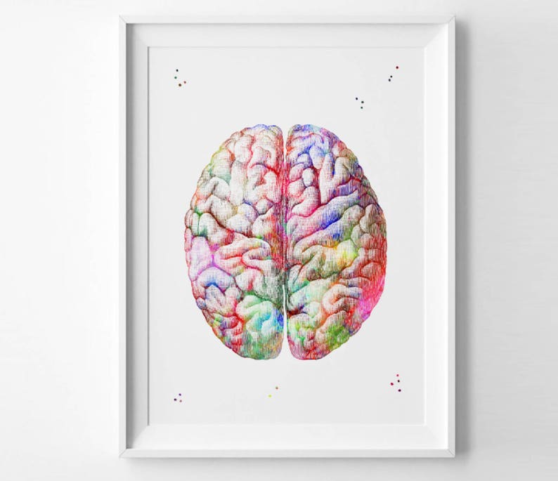 Human Brain Print Watercolor Hospital Decor Anatomy Brain Art Print ...