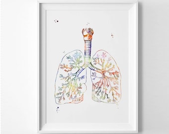May include: A watercolor illustration of the human lungs, with a rainbow color scheme. The illustration is detailed and shows the bronchi and alveoli.