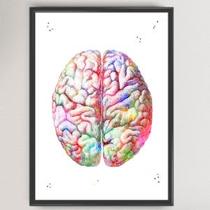 Human Brain Print Watercolor Hospital Decor Anatomy Brain Art Print ...