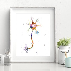 Neuron Cell Art Print Watercolor Neurons Synapses Print Brain Cells ...