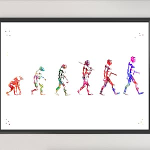 Könnte beinhalten: Gerahmter Druck, der die menschliche Evolution in Aquarell zeigt. Die Figuren entwickeln sich von einer vierfüßigen Haltung zu einer aufrechten Position, jede in einem lebendigen Farbspektrum vor weißem Hintergrund.