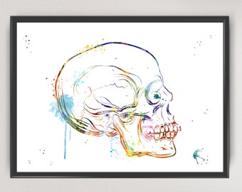 Può includere: Un dipinto ad acquerello colorato di un teschio umano di profilo. Il teschio è reso in tonalità di blu, verde, giallo, arancione e rosso. Lo sfondo è bianco con punti di colore sparsi.