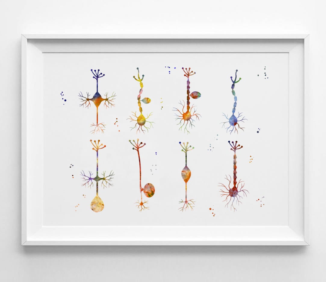 Neuron Cells Art Print Watercolor Neurons Synapses Print Brain Cells ...