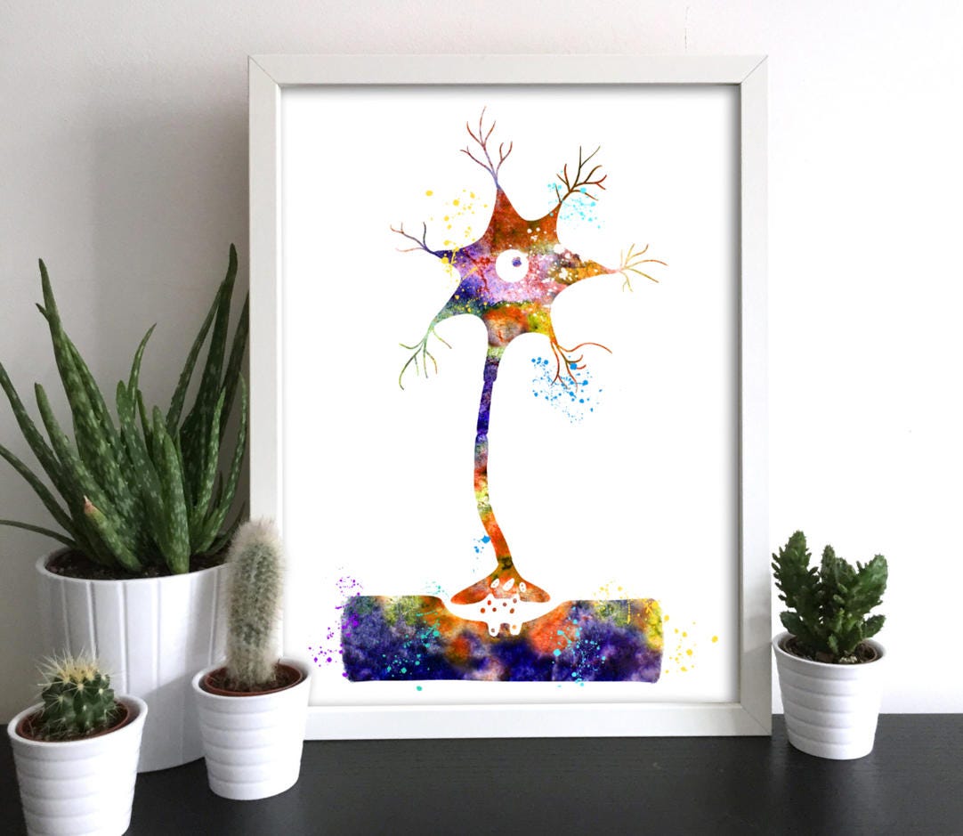 Neuron Cell Synapse Brain Cells Chemical Synapses Art Watercolor Print ...