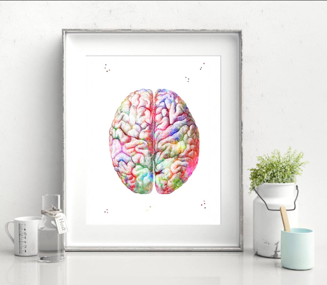 Human Brain Print Watercolor Hospital Decor Anatomy Brain Art Print ...